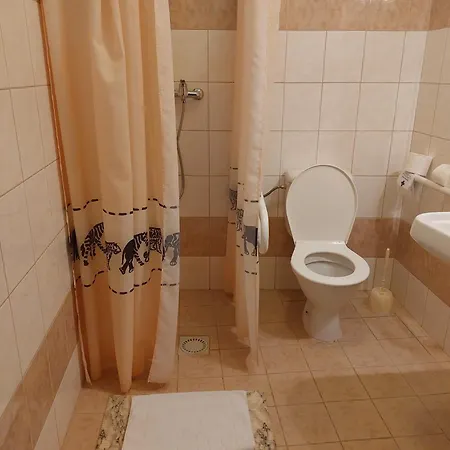 Raj Guest house *