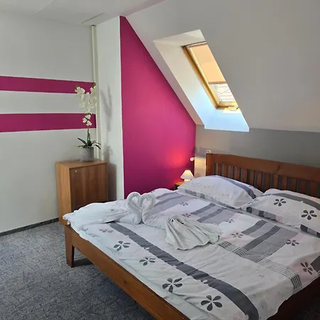 Raj 라젝크테플리스